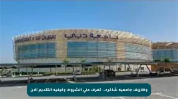 وظائف جامعية شاغرة.. تعرف على الشروط وكيفية التقديم الآن